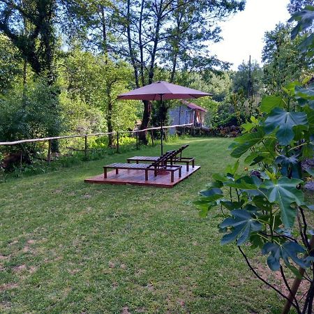 Quinta Das Bollotas Villa Fafe Esterno foto