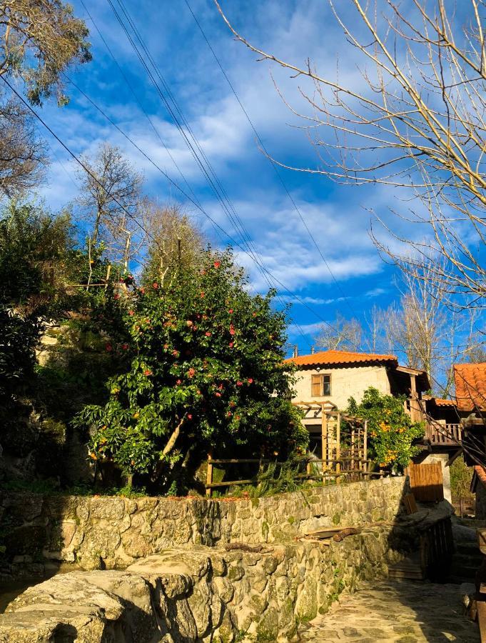 Quinta Das Bollotas Villa Fafe Esterno foto